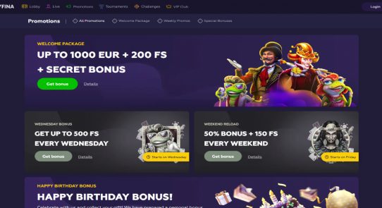 Playfina Casino Bonuses Section