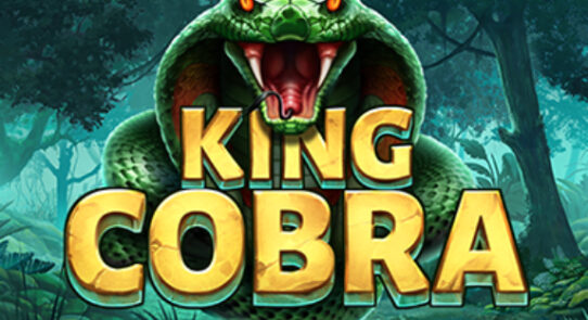 King Cobra Slot Join A Jungle Expedition of Venomous Rewards