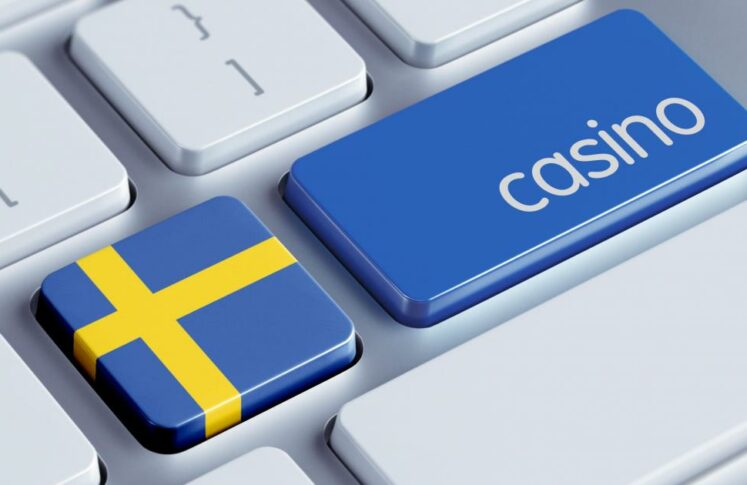 Swedish Gambling Watchdog Funding